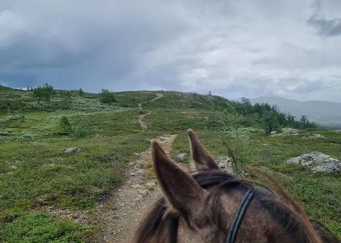 Leilighet Pa Bekkeli, Beito.